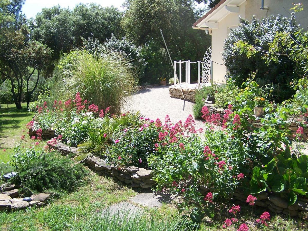 Les Florides Apartment LʼIsle-sur-la-Sorgue