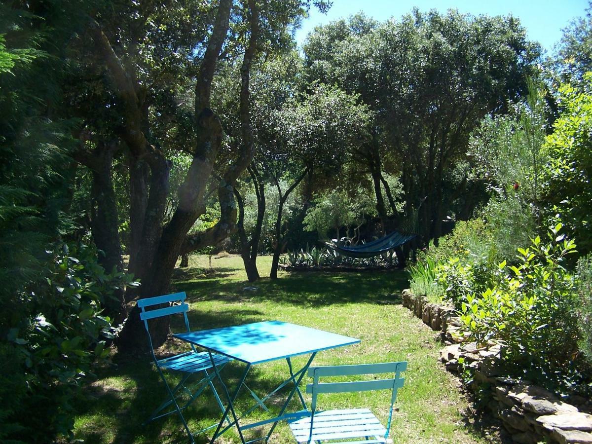 Les Florides Apartment LʼIsle-sur-la-Sorgue